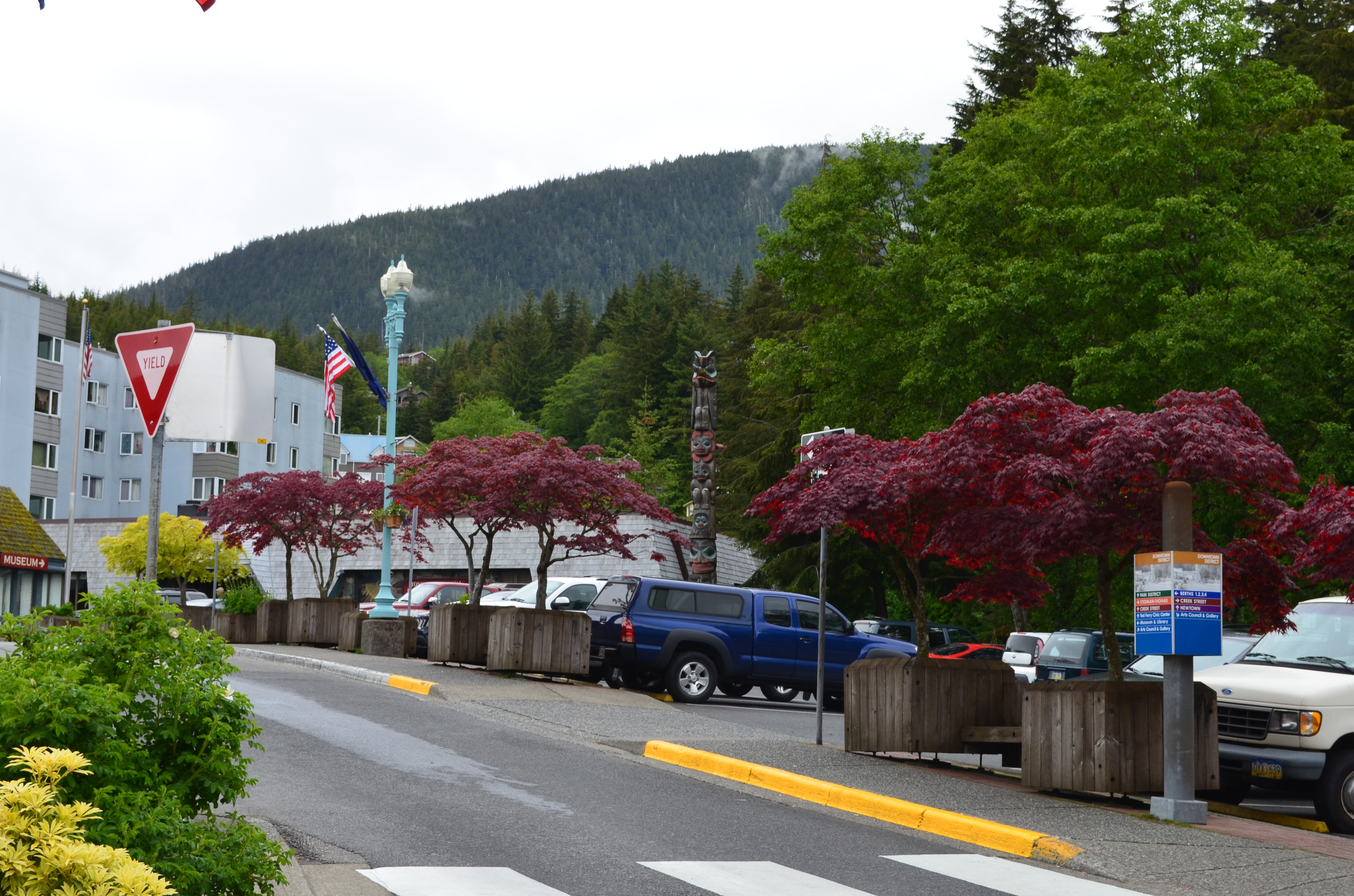 ./2017/08 - Alaska Cruise/11 - Ketchikan/DSC_0446.JPG